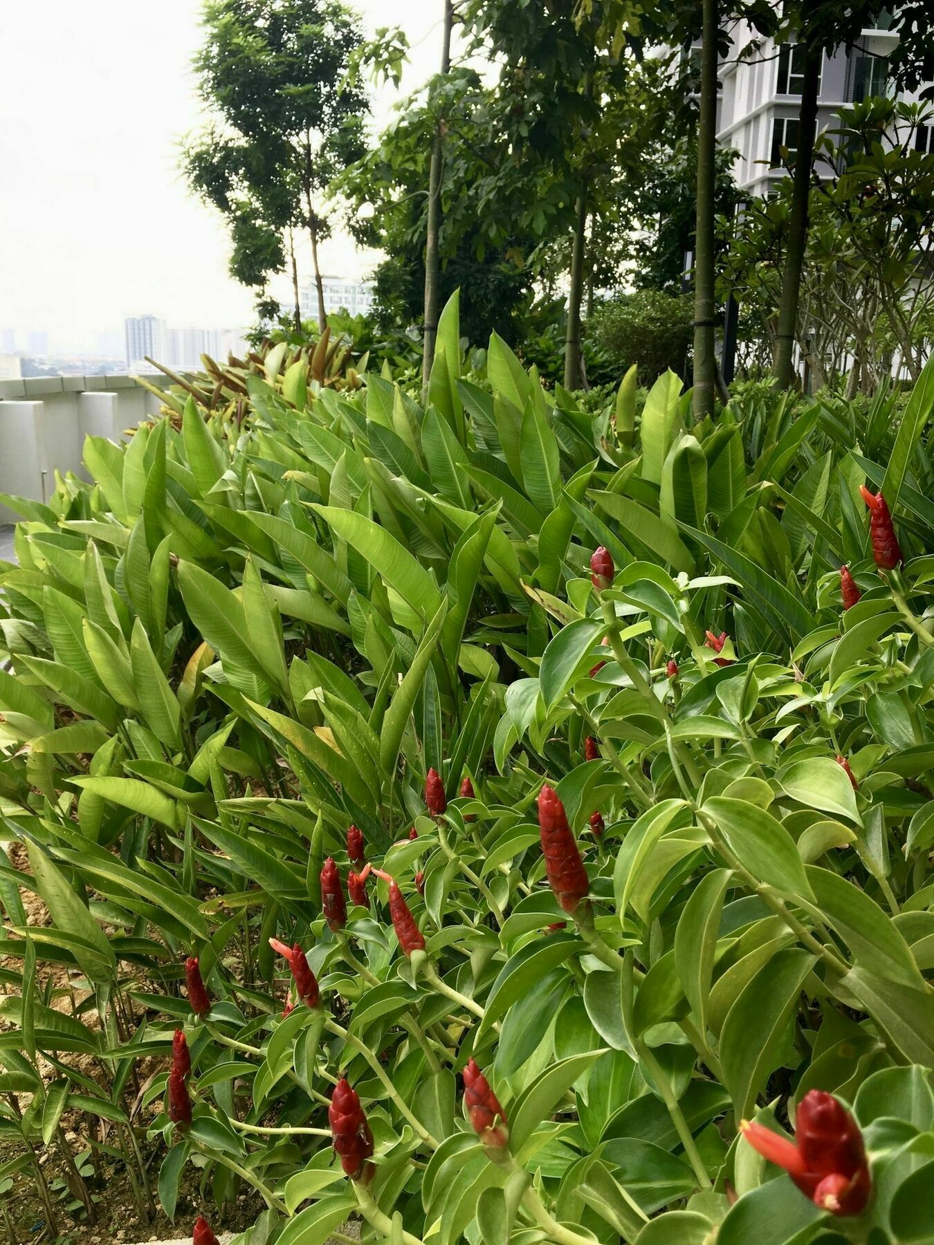 Southbank Residence Block B, Mid Valley @ De Space Kl Κουάλα Λουμπούρ Εξωτερικό φωτογραφία